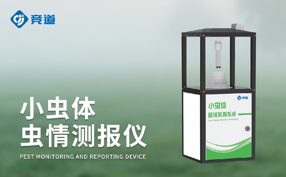 稻飞虱、叶蝉科、绿盲蝽防治新助力：小虫体虫情测报仪