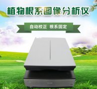 动物根系阐发体系增进动物发展