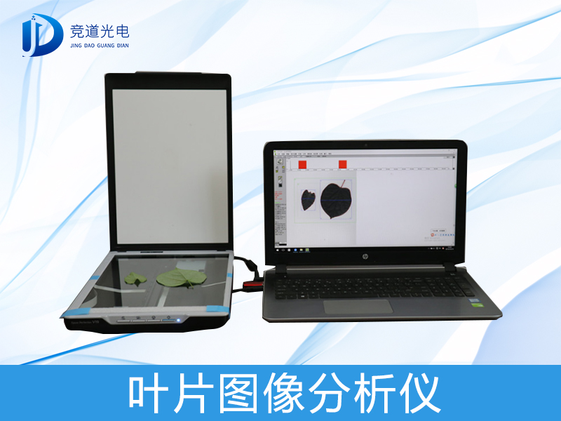 叶片图象阐发
