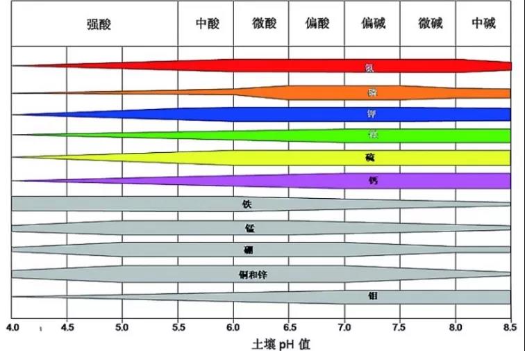 泥土PH速测仪，疾速测PH
